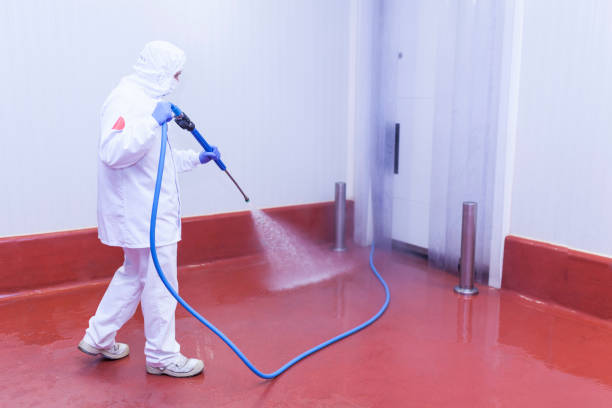 Best Sidewalk and Walkway Cleaning  in Mentone, CA