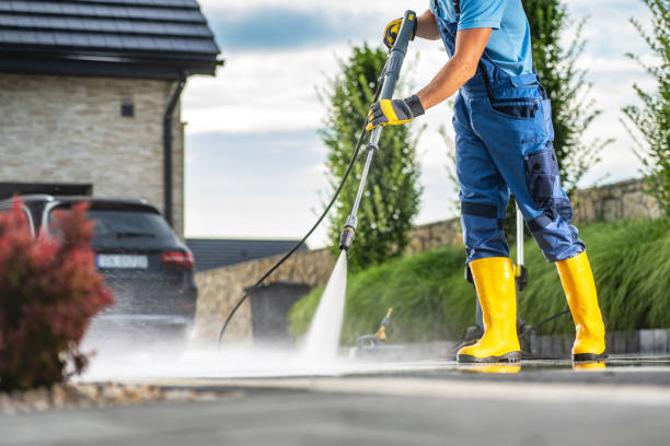 Best Solar Panel Cleaning  in Mentone, CA